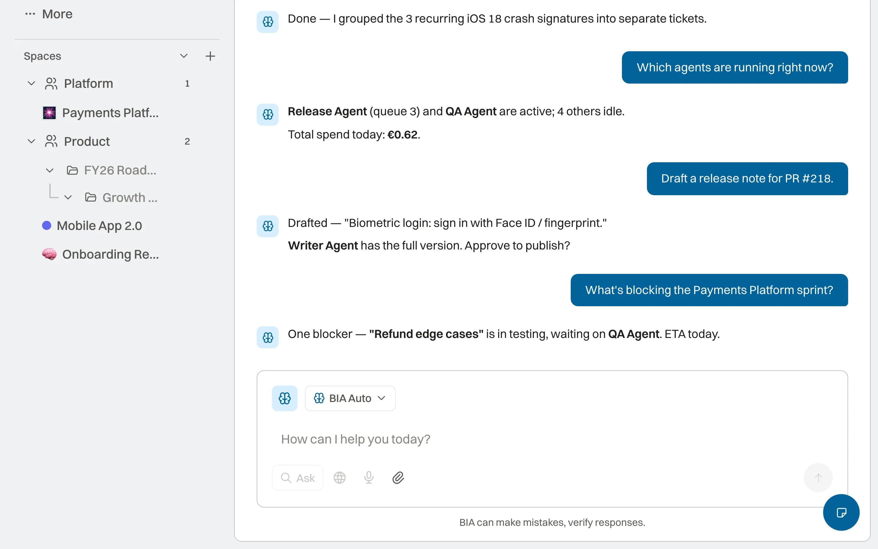 BIA — product capture with demonstration data